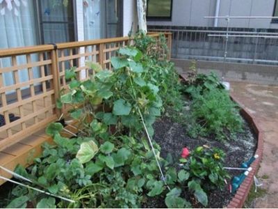 手入れされた小さな中庭