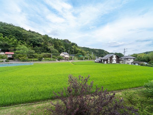 緑豊かな田園風景