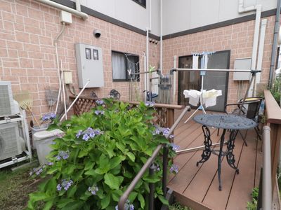 中庭の植物とテーブル