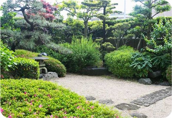 緑豊かな中庭