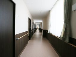 明るい廊下の様子