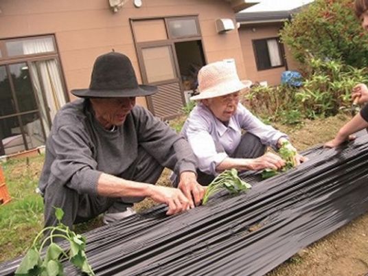 畑作業をする高齢者たち