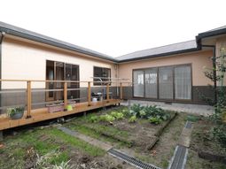 穏やかな中庭の景色