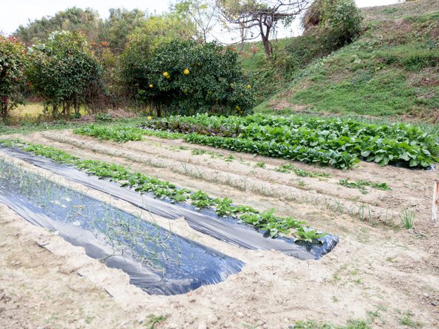 手入れされた庭園 庭 庭園の手入れや収穫を通じて、利用者の方々に自然の恵みを提供するやりがいのあるお仕事です。