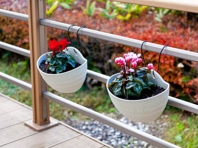 美しい花の中庭作業 中庭 自然に囲まれた環境で、利用者さまの笑顔と共に心地よい日々をサポートしませんか。