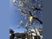 施設外観の桜と青空  
