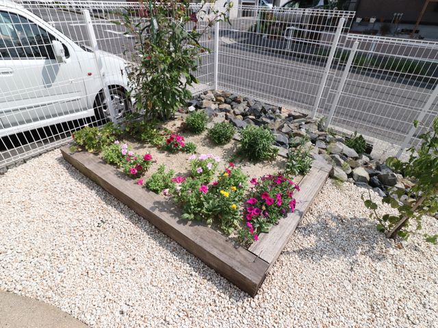 清潔な花壇の風景 花壇 鮮やかな花々が植えられた花壇があり、癒しの空間を演出しています。