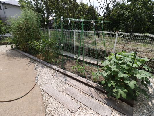 緑豊かな中庭スペース