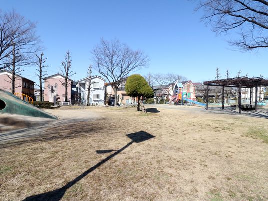 広々とした公園の風景
