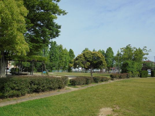 緑あふれる中庭風景