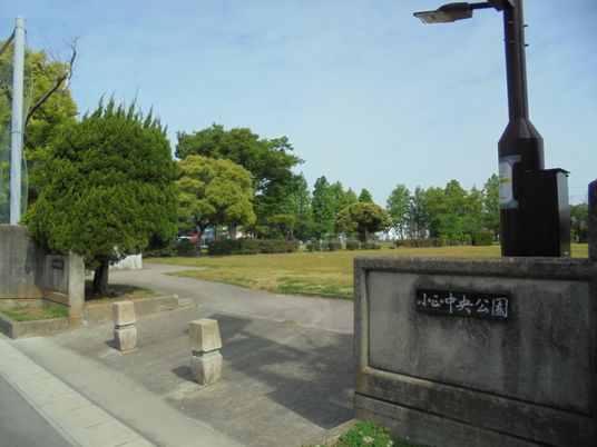 緑豊かな中庭風景