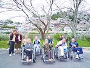 桜のある屋外