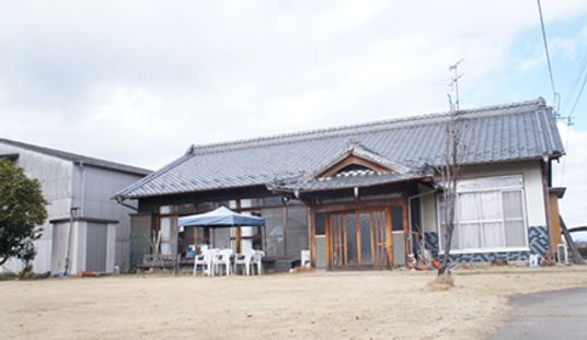 落ち着いた庭の風景