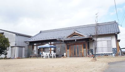 落ち着いた庭の風景