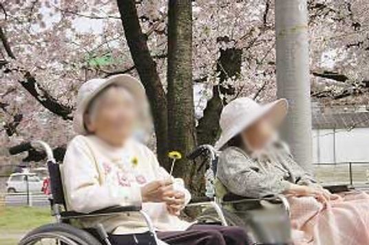 桜の下でくつろぐ人々