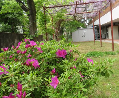花と庭が見える外観