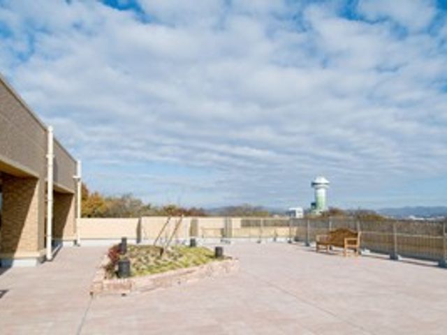 広々とした屋上庭園 庭 青空の下、広いスペースが魅力の屋上庭園です。リフレッシュに最適な開放的な環境が広がります。