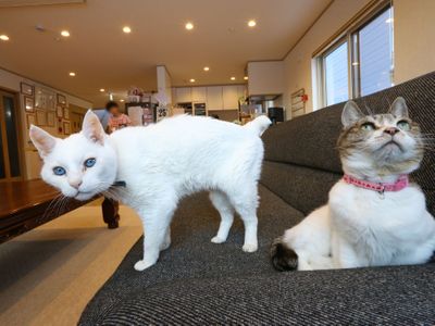 グループホーム みやこ緑が丘館