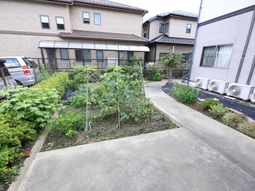 緑あふれる庭スペース