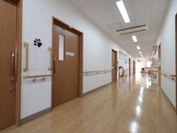 明るい廊下の様子