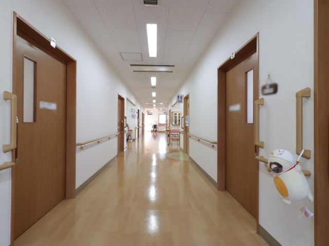 廊下と玩具のぬいぐるみ 廊下 手すりが設置されたキレイな廊下です。壁に飾られたぬいぐるみが、訪れる方々に癒しを提供しています。