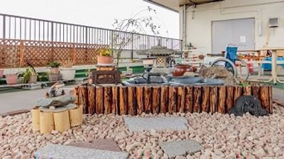 平和な雰囲気の庭