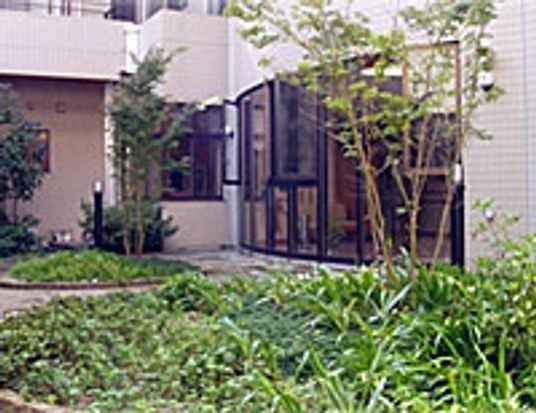 緑豊かな庭