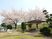 桜が見える中庭  