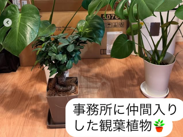 ひまり 訪問看護 ステーションの外観