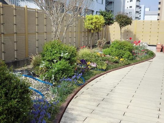 中庭の花と緑