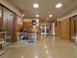 ロビーに犬のいる風景