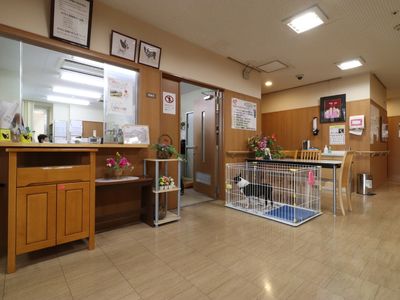 暖かみのあるロビーの様子