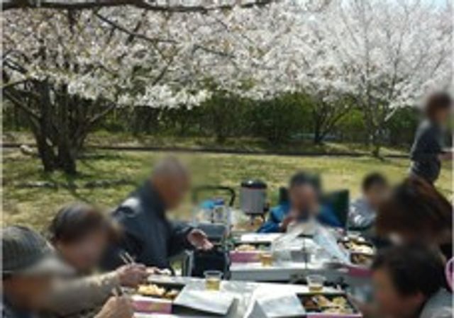 くつろぎの庭 庭 桜の木の下で、会話を楽しむことができる落ち着いた雰囲気のスペースです。リフレッシュに最適です。
