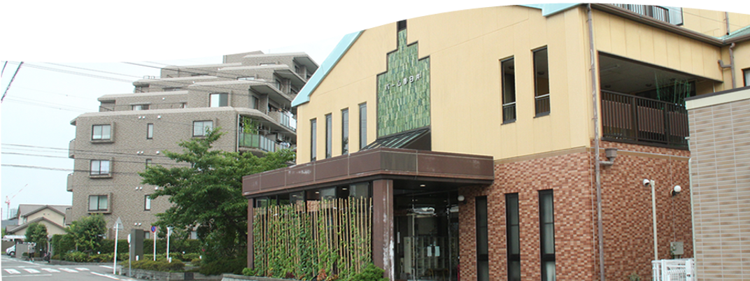 自然光が差し込む外観