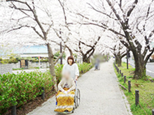 桜並木の散歩道