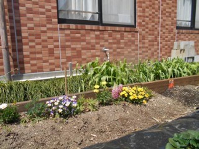 建物前の花壇 外観   建物の壁際に花壇があり、色とりどりの花が植えられています。屋外の手入れされた様子が伝わり、明るい印象です。