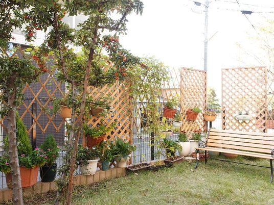 植物が並ぶ中庭エリア