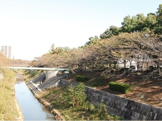 緑豊かな中庭風景