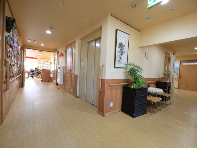 温かみのある廊下 通路 明るい廊下には植物が飾られ、心地よい空間が広がっています。安らぎあふれる環境でお迎えします。