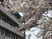 桜と建物の外観  