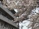 介護老人保健施設 メディコ春日井 看護師（日勤専従）（パート・アルバイト）