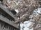 介護老人保健施設 メディコ春日井 看護師（日勤専従）（パート・アルバイト）
