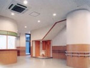 広々とした廊下