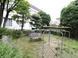 緑豊かな庭の風景