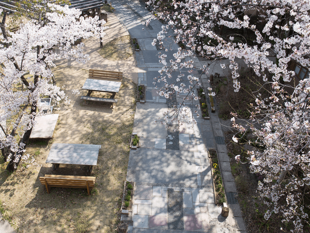 桜が彩る中庭 中庭 春には桜の花が美しい中庭です。心地よいベンチでゆったりと過ごせます。
