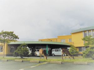鹿がいる施設外観  