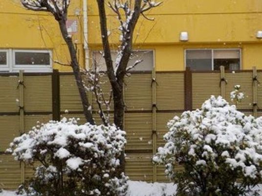 雪の庭  