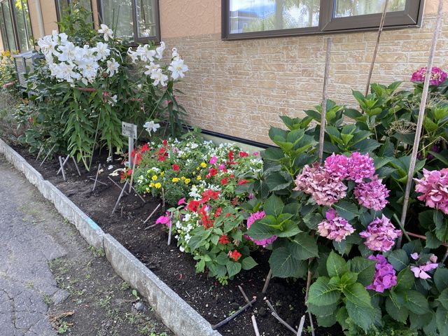 彩り豊かな庭 庭 手入れが行き届いた美しい花壇があり、四季折々の花々をご覧いただけます。明るい環境で憩いの時間をお過ごしいただけます。
