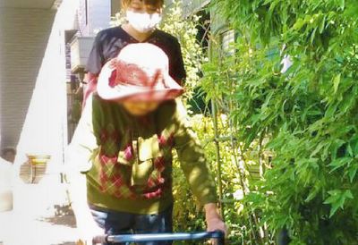 自然豊かな庭