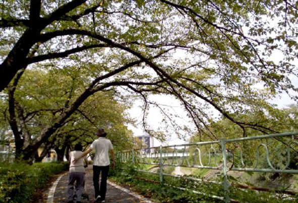 穏やかな散歩道
